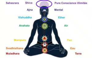 Les 7 principaux chakras ou centres énergétiques